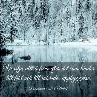 Picture 03 - Romarbrevet 14:19 SV1917 - Vi vilja alltså fara efter det som länder till - Bible Verse Picture
