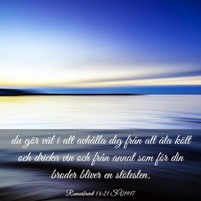 Picture 03 - Romarbrevet 14:21 SV1917 - du gör väl i att avhålla dig från att äta - Bible Verse Picture