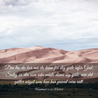 Picture 03 - Romarbrevet 14:22 SV1917 - Den tro du har må du hava för dig själv inför - Bible Verse Picture
