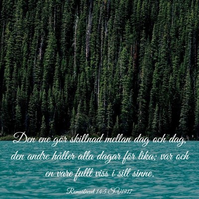 Picture 03 - Romarbrevet 14:5 SV1917 - Den ene gör skillnad mellan dag och dag, den - Bible Verse Picture
