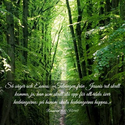 Picture 03 - Romarbrevet 15:12 SV1917 - Så säger ock Esaias: »Telningen från Jessais - Bible Verse Picture