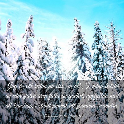 Picture 03 - Romarbrevet 15:14 SV1917 - Jag är väl redan nu viss om att I, mina - Bible Verse Picture