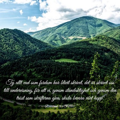 Picture 03 - Romarbrevet 15:4 SV1917 - Ty allt vad som fordom har blivit skrivet, det - Bible Verse Picture