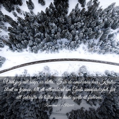 Picture 03 - Romarbrevet 15:8 SV1917 - Vad jag vill säga är detta: För de omskurna - Bible Verse Picture