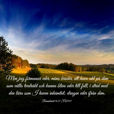 Picture 03 - Romarbrevet 16:17 SV1917 - Men jag förmanar eder, mina bröder, att hava - Bible Verse Picture