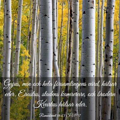 Picture 03 - Romarbrevet 16:23 SV1917 - Gajus, min och hela församlingens värd, hälsar - Bible Verse Picture