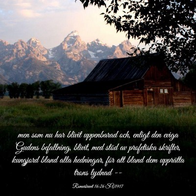 Picture 03 - Romarbrevet 16:26 SV1917 - men som nu har blivit uppenbarad och, enligt den - Bible Verse Picture