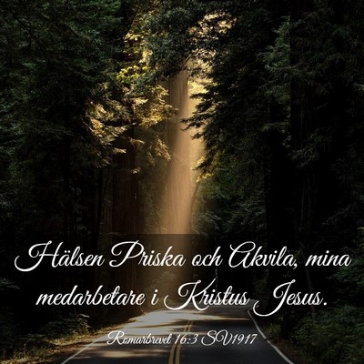Picture 03 - Romarbrevet 16:3 SV1917 - Hälsen Priska och Akvila, mina medarbetare i - Bible Verse Picture