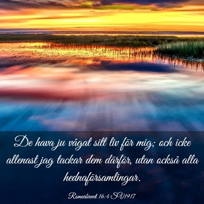 Picture 03 - Romarbrevet 16:4 SV1917 - De hava ju vågat sitt liv för mig; och icke - Bible Verse Picture