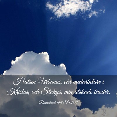 Picture 03 - Romarbrevet 16:9 SV1917 - Hälsen Urbanus, vår medarbetare i Kristus, och - Bible Verse Picture
