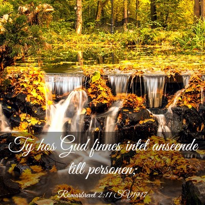 Picture 03 - Romarbrevet 2:11 SV1917 - Ty hos Gud finnes intet anseende till - Bible Verse Picture
