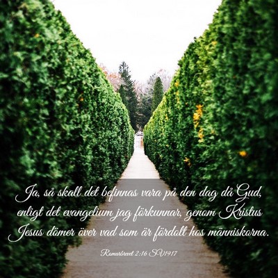 Picture 03 - Romarbrevet 2:16 SV1917 - Ja, så skall det befinnas vara på den dag då - Bible Verse Picture