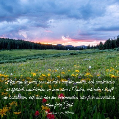 Picture 03 - Romarbrevet 2:29 SV1917 - Nej, den är jude, som är det i invärtes - Bible Verse Picture