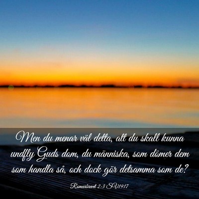 Picture 03 - Romarbrevet 2:3 SV1917 - Men du menar väl detta, att du skall kunna - Bible Verse Picture