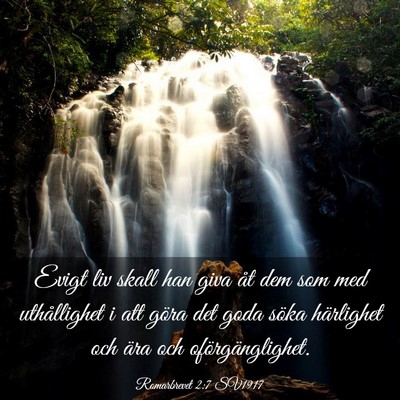 Picture 03 - Romarbrevet 2:7 SV1917 - Evigt liv skall han giva åt dem som med - Bible Verse Picture