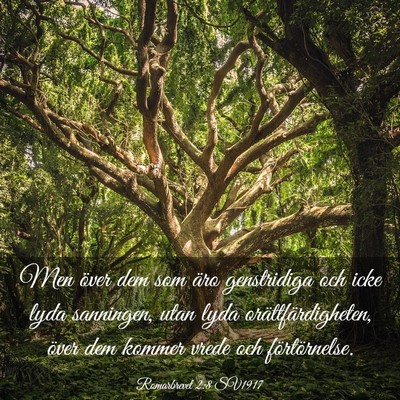 Picture 03 - Romarbrevet 2:8 SV1917 - Men över dem som äro genstridiga och icke lyda - Bible Verse Picture