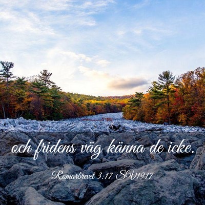 Picture 03 - Romarbrevet 3:17 SV1917 - och fridens väg känna de - Bible Verse Picture