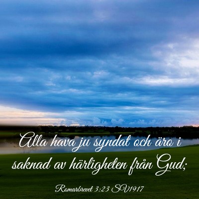 Picture 03 - Romarbrevet 3:23 SV1917 - Alla hava ju syndat och äro i saknad av - Bible Verse Picture