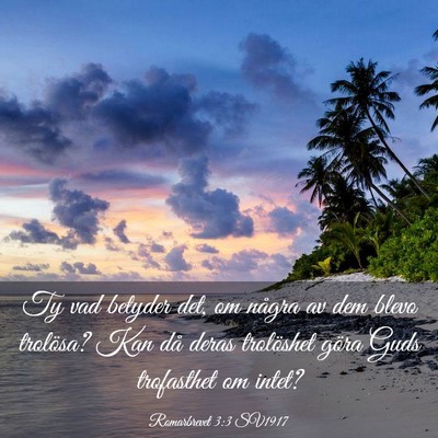 Picture 03 - Romarbrevet 3:3 SV1917 - Ty vad betyder det, om några av dem blevo - Bible Verse Picture