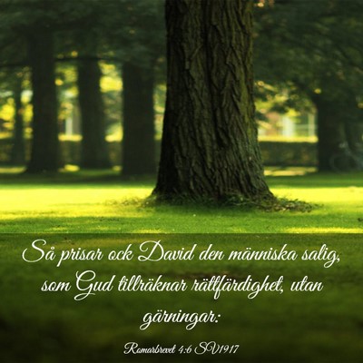 Picture 03 - Romarbrevet 4:6 SV1917 - Så prisar ock David den människa salig, som Gud - Bible Verse Picture