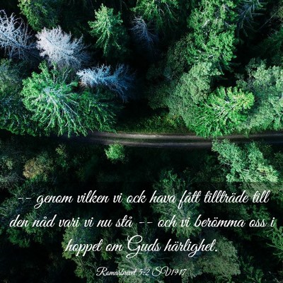 Picture 03 - Romarbrevet 5:2 SV1917 - -- genom vilken vi ock hava fått tillträde till - Bible Verse Picture