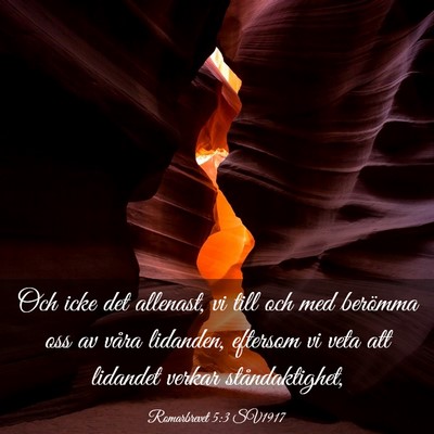 Picture 03 - Romarbrevet 5:3 SV1917 - Och icke det allenast, vi till och med berömma - Bible Verse Picture