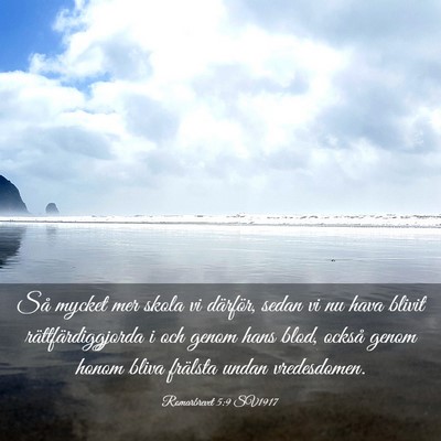 Picture 03 - Romarbrevet 5:9 SV1917 - Så mycket mer skola vi därför, sedan vi nu - Bible Verse Picture