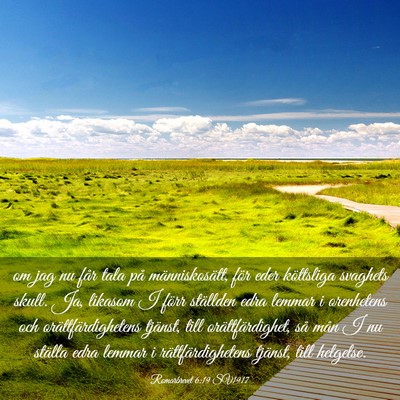 Picture 03 - Romarbrevet 6:19 SV1917 - om jag nu får tala på människosätt, för eder - Bible Verse Picture