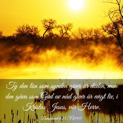 Picture 03 - Romarbrevet 6:23 SV1917 - Ty den lön som synden giver är döden, men den - Bible Verse Picture