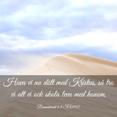 Picture 03 - Romarbrevet 6:8 SV1917 - Hava vi nu dött med Kristus, så tro vi att vi - Bible Verse Picture