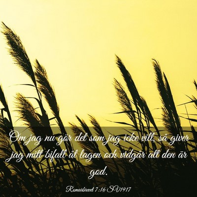 Picture 03 - Romarbrevet 7:16 SV1917 - Om jag nu gör det som jag icke vill, så giver - Bible Verse Picture