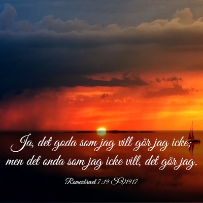 Picture 03 - Romarbrevet 7:19 SV1917 - Ja, det goda som jag vill gör jag icke; men det - Bible Verse Picture
