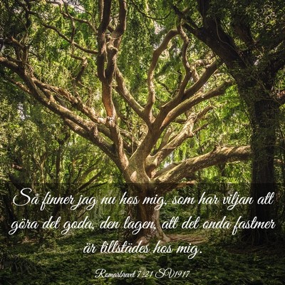 Picture 03 - Romarbrevet 7:21 SV1917 - Så finner jag nu hos mig, som har viljan att - Bible Verse Picture