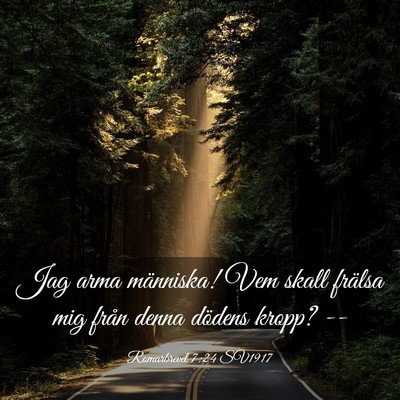 Picture 03 - Romarbrevet 7:24 SV1917 - Jag arma människa! Vem skall frälsa mig från - Bible Verse Picture