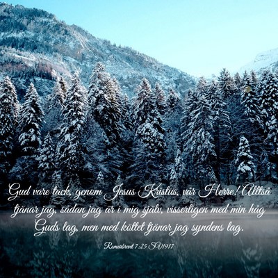 Picture 03 - Romarbrevet 7:25 SV1917 - Gud vare tack, genom Jesus Kristus, vår Herre! - Bible Verse Picture