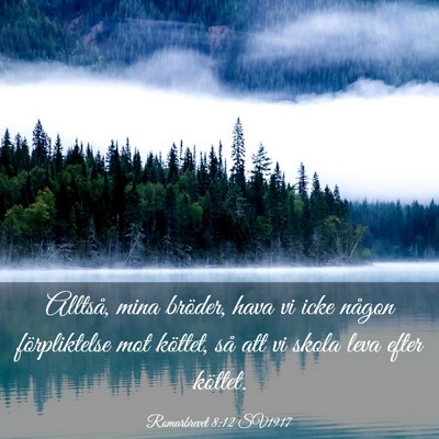 Picture 03 - Romarbrevet 8:12 SV1917 - Alltså, mina bröder, hava vi icke någon - Bible Verse Picture