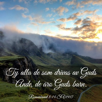 Picture 03 - Romarbrevet 8:14 SV1917 - Ty alla de som drivas av Guds Ande, de äro Guds - Bible Verse Picture