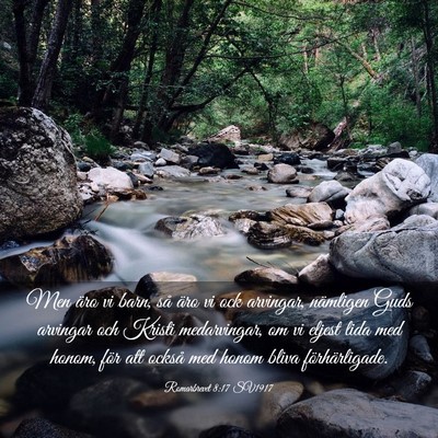 Picture 03 - Romarbrevet 8:17 SV1917 - Men äro vi barn, så äro vi ock arvingar, - Bible Verse Picture