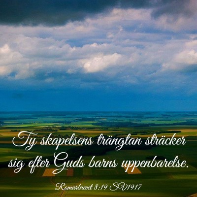 Picture 03 - Romarbrevet 8:19 SV1917 - Ty skapelsens trängtan sträcker sig efter Guds - Bible Verse Picture