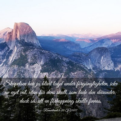 Picture 03 - Romarbrevet 8:20 SV1917 - Skapelsen har ju blivit lagd under - Bible Verse Picture