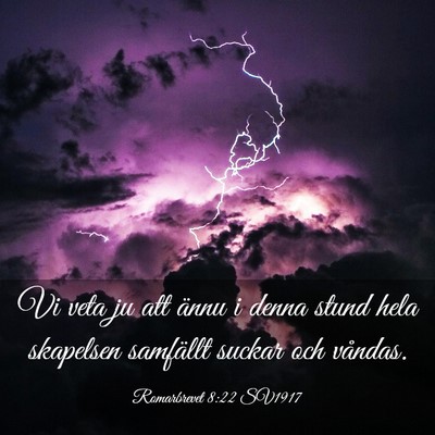 Picture 03 - Romarbrevet 8:22 SV1917 - Vi veta ju att ännu i denna stund hela skapelsen - Bible Verse Picture