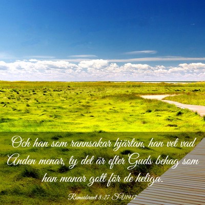 Picture 03 - Romarbrevet 8:27 SV1917 - Och han som rannsakar hjärtan, han vet vad Anden - Bible Verse Picture
