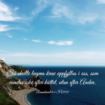 Picture 03 - Romarbrevet 8:4 SV1917 - Så skulle lagens krav uppfyllas i oss, som - Bible Verse Picture