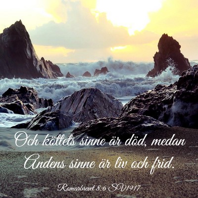 Picture 03 - Romarbrevet 8:6 SV1917 - Och köttets sinne är död, medan Andens sinne - Bible Verse Picture