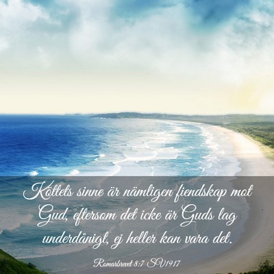 Picture 03 - Romarbrevet 8:7 SV1917 - Köttets sinne är nämligen fiendskap mot Gud, - Bible Verse Picture