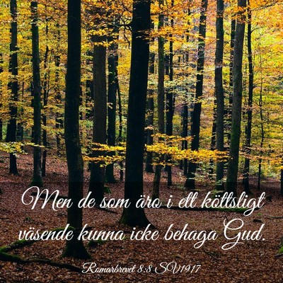 Picture 03 - Romarbrevet 8:8 SV1917 - Men de som äro i ett köttsligt väsende kunna - Bible Verse Picture