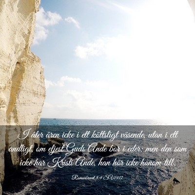 Picture 03 - Romarbrevet 8:9 SV1917 - I åter ären icke i ett köttsligt väsende, - Bible Verse Picture