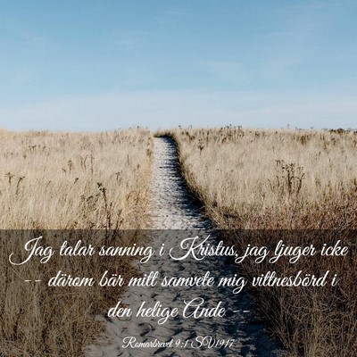 Picture 03 - Romarbrevet 9:1 SV1917 - Jag talar sanning i Kristus, jag ljuger icke -- - Bible Verse Picture