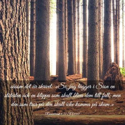 Picture 03 - Romarbrevet 9:33 SV1917 - såsom det är skrivet: »Se, jag lägger i Sion - Bible Verse Picture