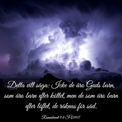 Picture 03 - Romarbrevet 9:8 SV1917 - Detta vill säga: Icke de äro Guds barn, som - Bible Verse Picture